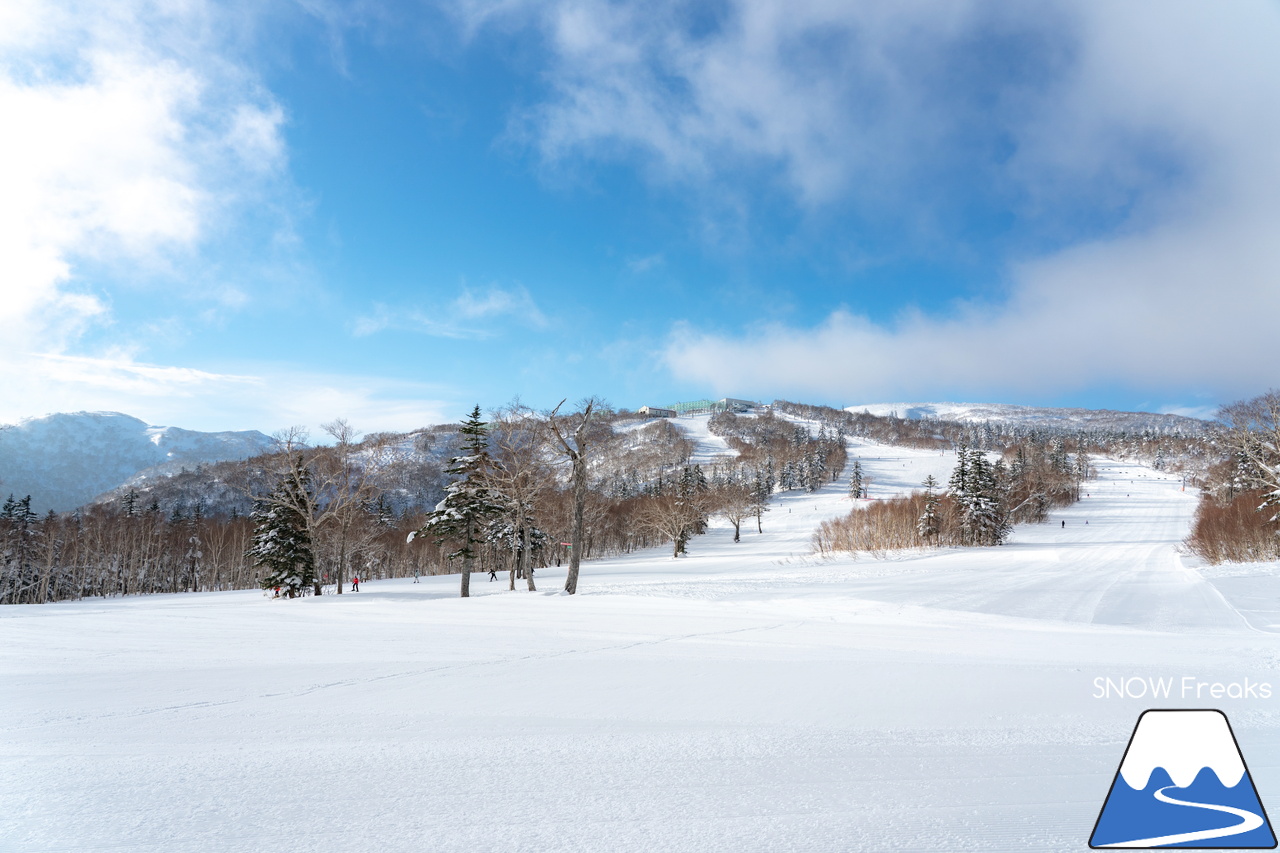 札幌国際スキー場｜北海道最高峰・旭岳も見えた！これ以上はなかなか無い、澄み渡る青空に恵まれた１月最後の日曜日。